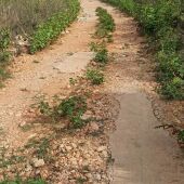 Camino Barranco La Casella