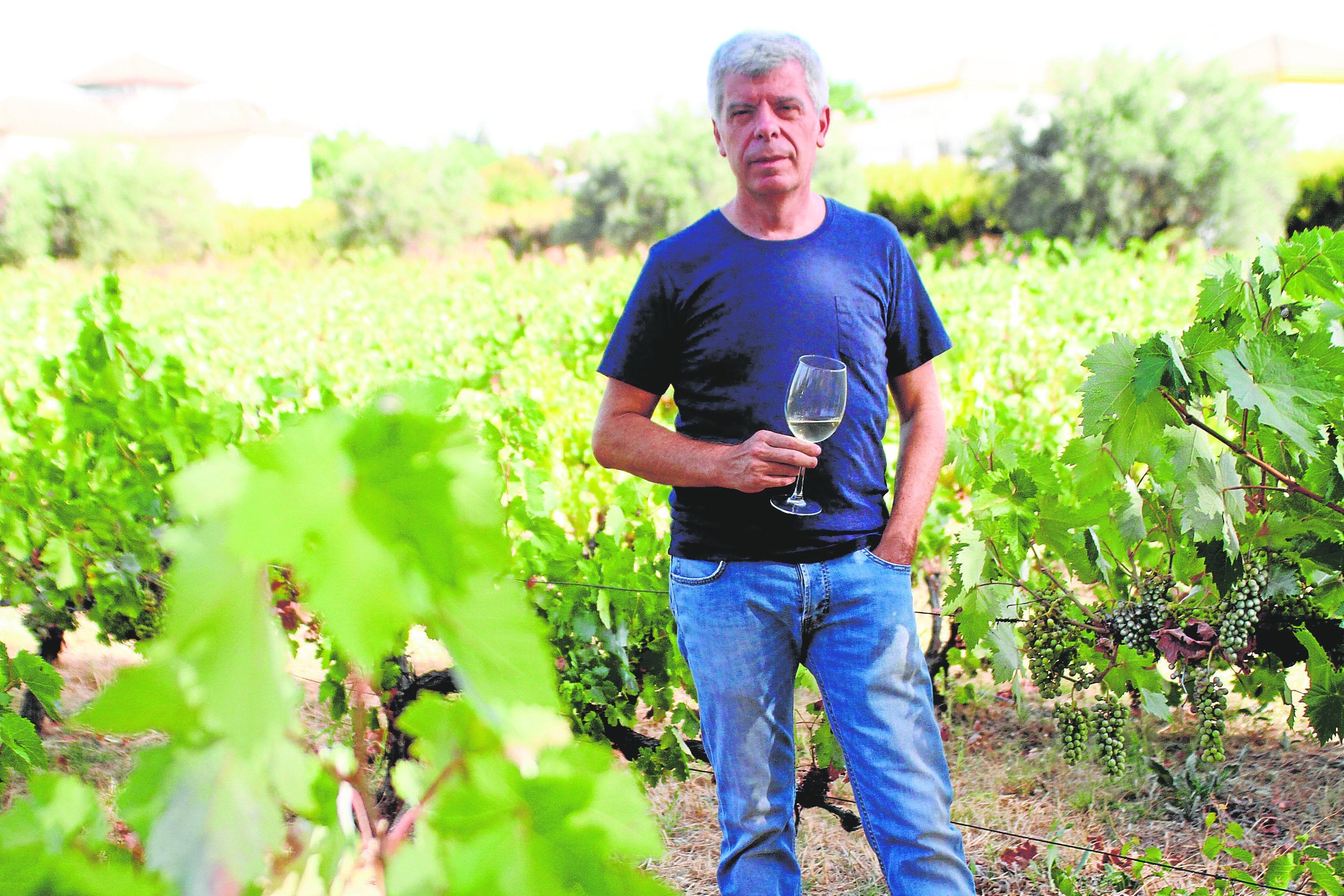 Ponme verde Ponme verde