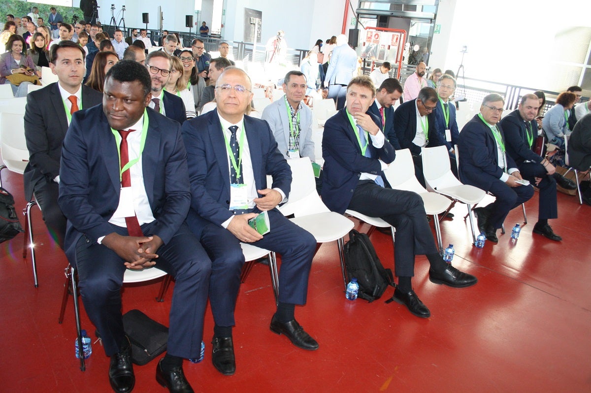 Puertollano "protagonista histórico" en el desarrollo del hidrógeno verde Puertollano "protagonista histórico" en el desarrollo del hidrógeno verde