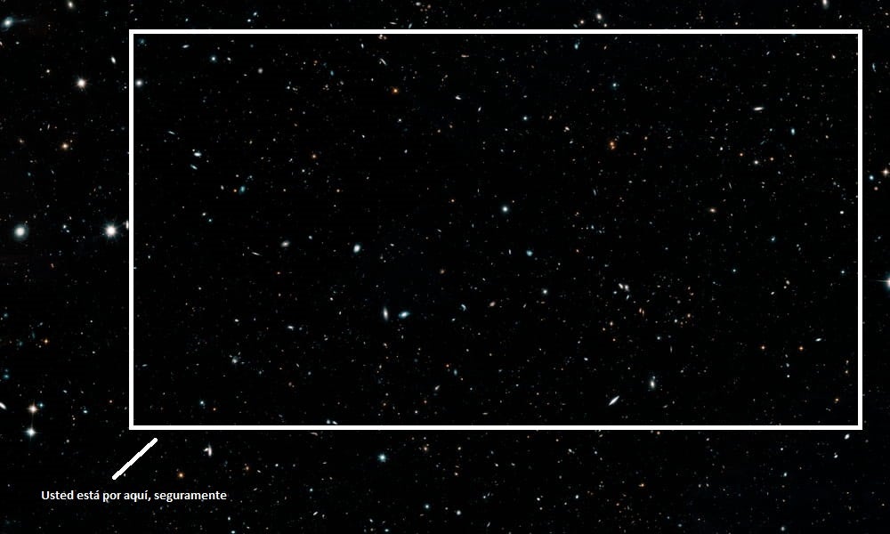 Los acariciaperrenses se ponen en órbita Los acariciaperrenses se ponen en órbita