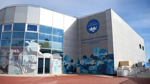 Caixa Popular, l'Oceanogràfic i Rubio ajuden a estimar i cuidar els animals Caixa Popular, l'Oceanogràfic i Rubio ajuden a estimar i cuidar els animals