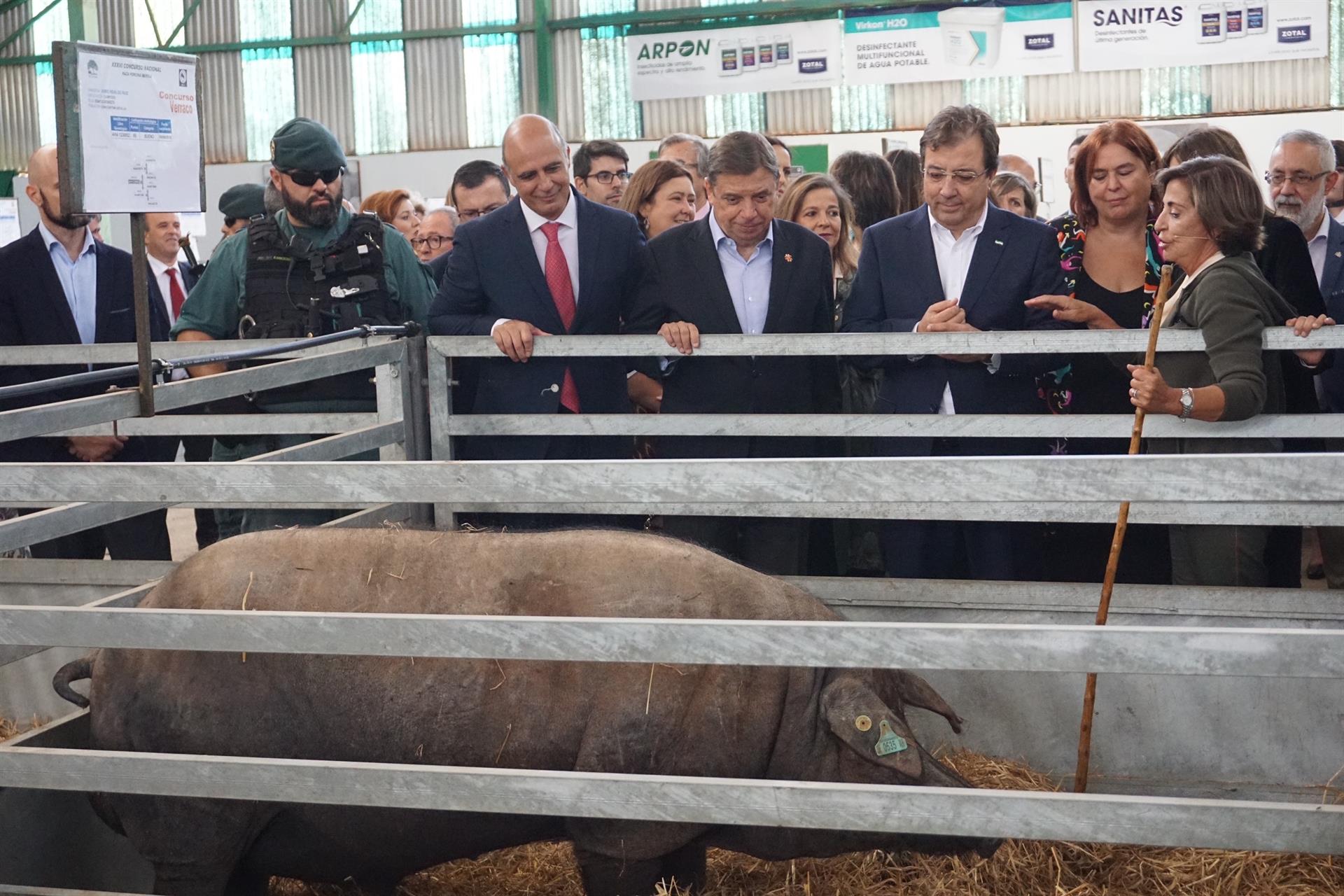 Se celebra una jornada sobre retos y oportunidades del sector del porcino donde se ha puesto en valor el futuro matadero de Zafra Se celebra una jornada sobre retos y oportunidades del sector del porcino donde se ha puesto en valor el futuro matadero de Zafra