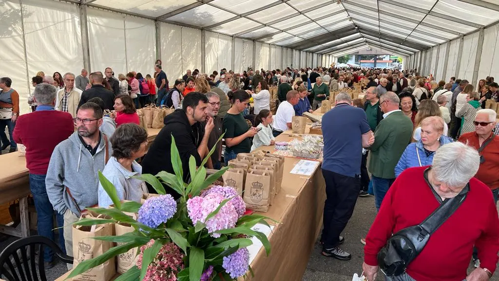 Festival de la Avellana 2022 Festival de la Avellana 2022