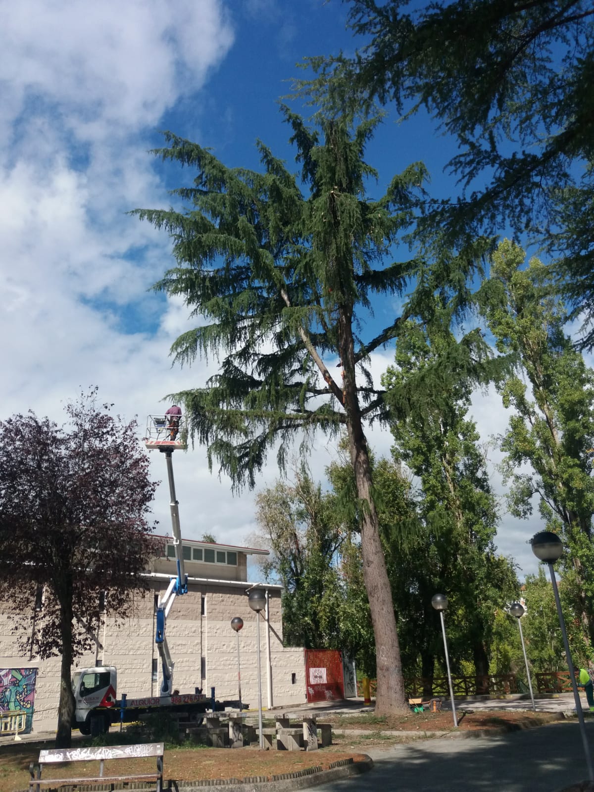 O Concello reabre ao público os xardíns do Pavillón dos Remedios O Concello reabre ao público os xardíns do Pavillón dos Remedios