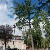 O Concello reabre ao público os xardíns do Pavillón dos Remedios O Concello reabre ao público os xardíns do Pavillón dos Remedios