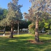 Parque Polideportivo Almussafes