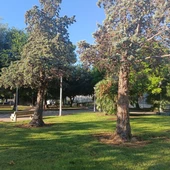 Parque Polideportivo Almussafes Parque Polideportivo Almussafes