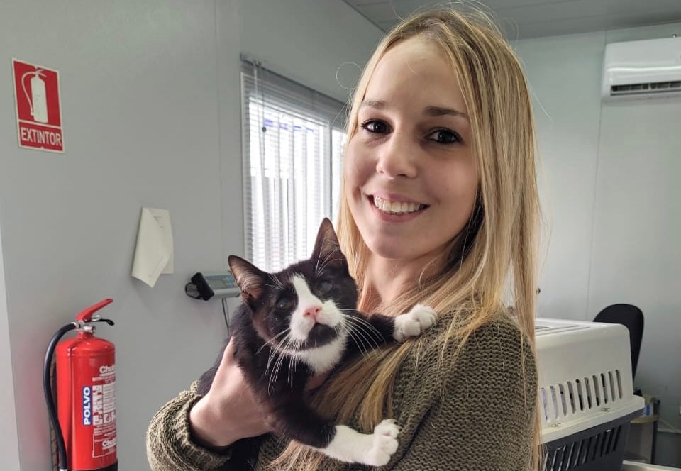 Riddick, el gato ciego adoptado: "No puedo tener más suerte y eso que soy medio negro" Riddick, el gato ciego adoptado: "No puedo tener más suerte y eso que soy medio negro"