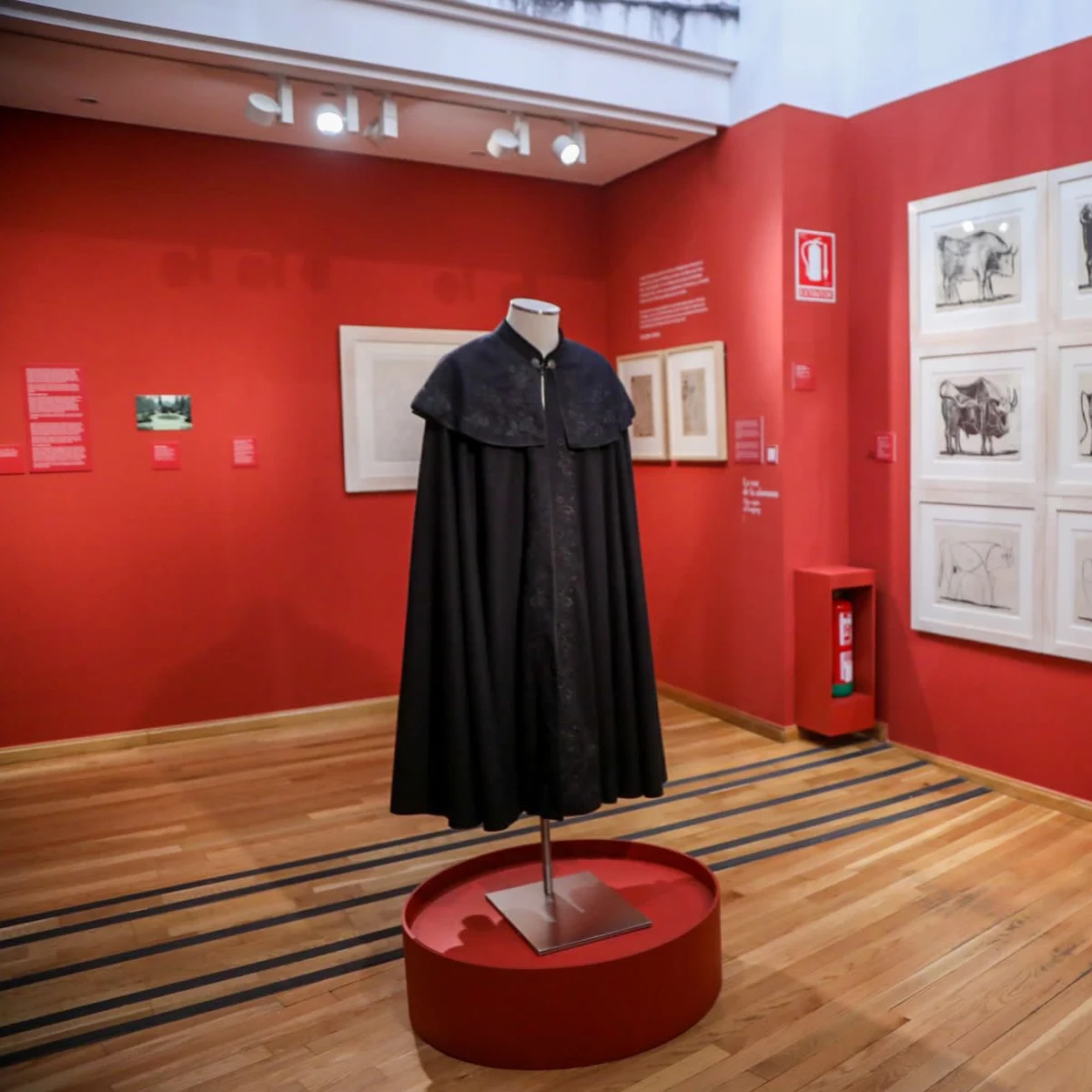 La Casa Natal Picasso subraya la importancia de Málaga en la raíz de la personalidad y la obra del malagueño | Onda Cero Radio