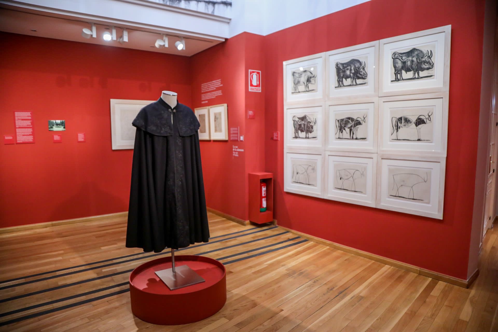 La Casa Natal Picasso subraya la importancia de Málaga en la raíz de la personalidad y la obra del malagueño La Casa Natal Picasso subraya la importancia de Málaga en la raíz de la personalidad y la obra del malagueño