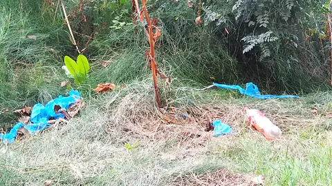 Basura en el entorno del arroyo Camarmilla Basura en el entorno del arroyo Camarmilla