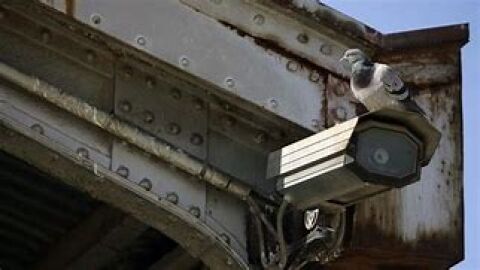 ALCOCER SE PROTEGE DE LOS LADRONES