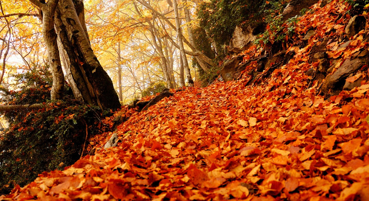 Álava vive el otoño más cálido desde que hay registros Álava vive el otoño más cálido desde que hay registros