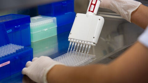 El inicio simultaneo del tratamiento antirretroviral y la inmunoterapia mejora el control del VIH