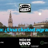 Más de uno Sevilla