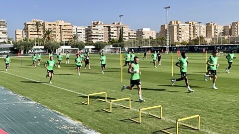 La plantilla del Elche ha vuelto a los entrenamientos en el Diego Quiles La plantilla del Elche ha vuelto a los entrenamientos en el Diego Quiles