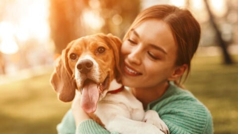 &Aacute;ngel Osuna, adiestrador canino, nos habla de los cuidados en oto&ntilde;o de nuestra mascota 