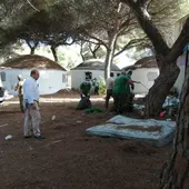 Instantes de los trabajos en La Forestal Instantes de los trabajos en La Forestal