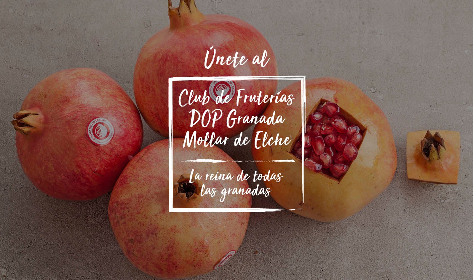 La DOP granada Mollar de Elche crea un club nacional de fruterías para promocionar el fruto y poner el valor de esos comercios La DOP granada Mollar de Elche crea un club nacional de fruterías para promocionar el fruto y poner el valor de esos comercios