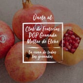 La DOP granada Mollar de Elche crea un club nacional de fruterías para promocionar el fruto y poner el valor de esos comercios.