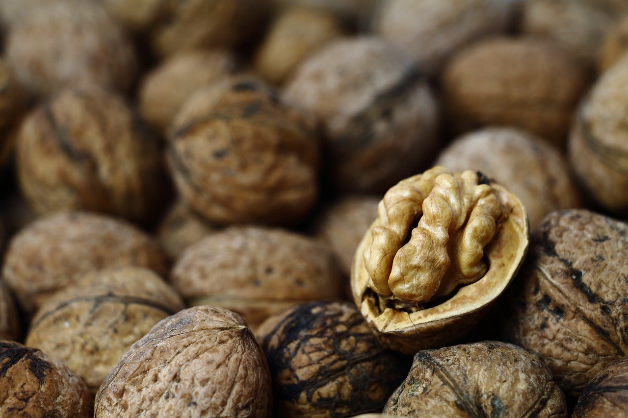 Los alimentos imprescindibles que debes tomar en otoño para combatir el cansancio Los alimentos imprescindibles que debes tomar en otoño para combatir el cansancio