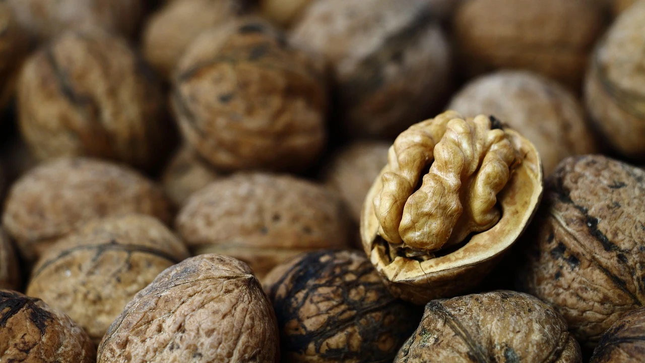Los alimentos imprescindibles que debes tomar en otoño para combatir el cansancio