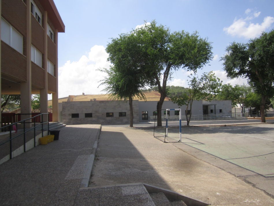 Una docena de árboles del colegio 'Lucero' de Valdepeñas se arrancarán para que sus raíces no levanten el pavimento Una docena de árboles del colegio 'Lucero' de Valdepeñas se arrancarán para que sus raíces no levanten el pavimento