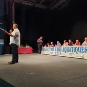 REPLAZAS SUECA CAZA REPLAZAS SUECA CAZA