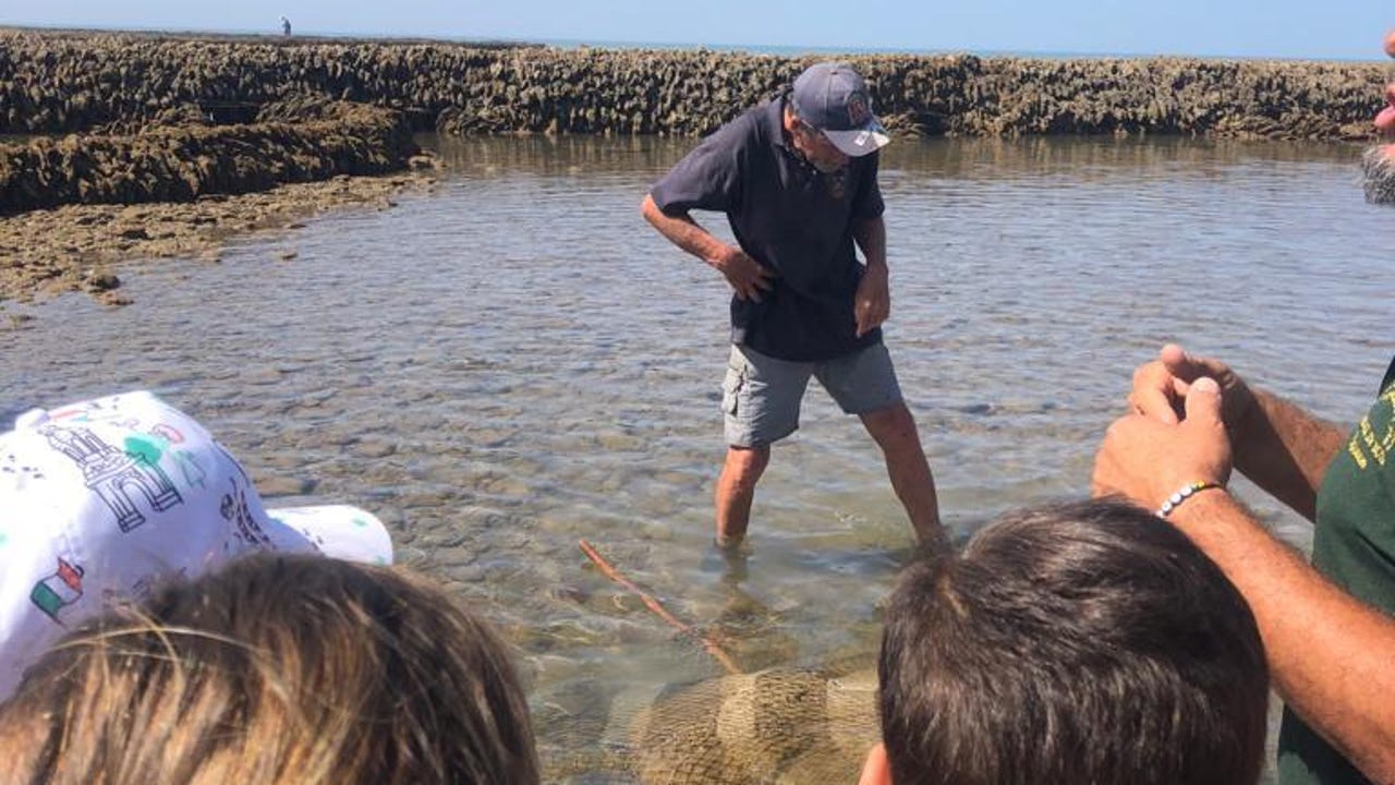El tesoro de los Corrales de Rota: un arte milenario pesquero de la ...