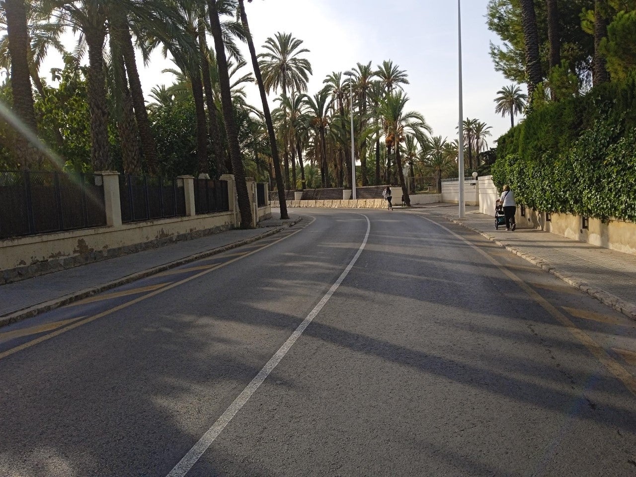 Elche y comarcas esperan un ambiente frío y ventoso para este miércoles Elche y comarcas esperan un ambiente frío y ventoso para este miércoles