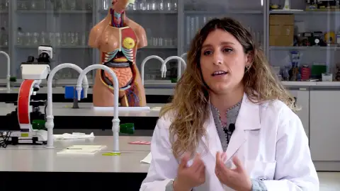 Un estudio apunta a un mayor riesgo de cáncer de próstata en hombres con horarios de trabajo nocturno Un estudio apunta a un mayor riesgo de cáncer de próstata en hombres con horarios de trabajo nocturno