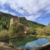 ALZIRA LA MURTA CASELLA ALZIRA LA MURTA CASELLA