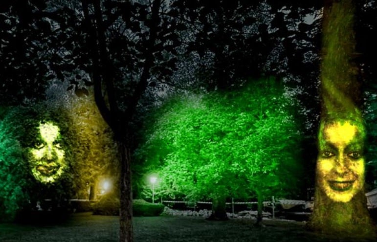 Árboles y estatuas del parque de La Florida "latirán" este fin de semana por la Green Capital Árboles y estatuas del parque de La Florida "latirán" este fin de semana por la Green Capital