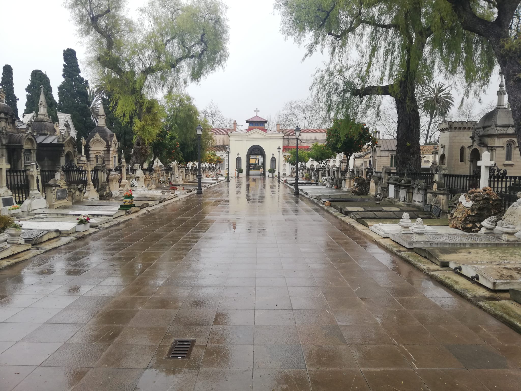 València, galardonada por el "mejor cementerio" de España València, galardonada por el "mejor cementerio" de España