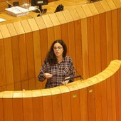 O BNG denuncia que os Orzamentos da Xunta para Ourense son unha nova fraude O BNG denuncia que os Orzamentos da Xunta para Ourense son unha nova fraude