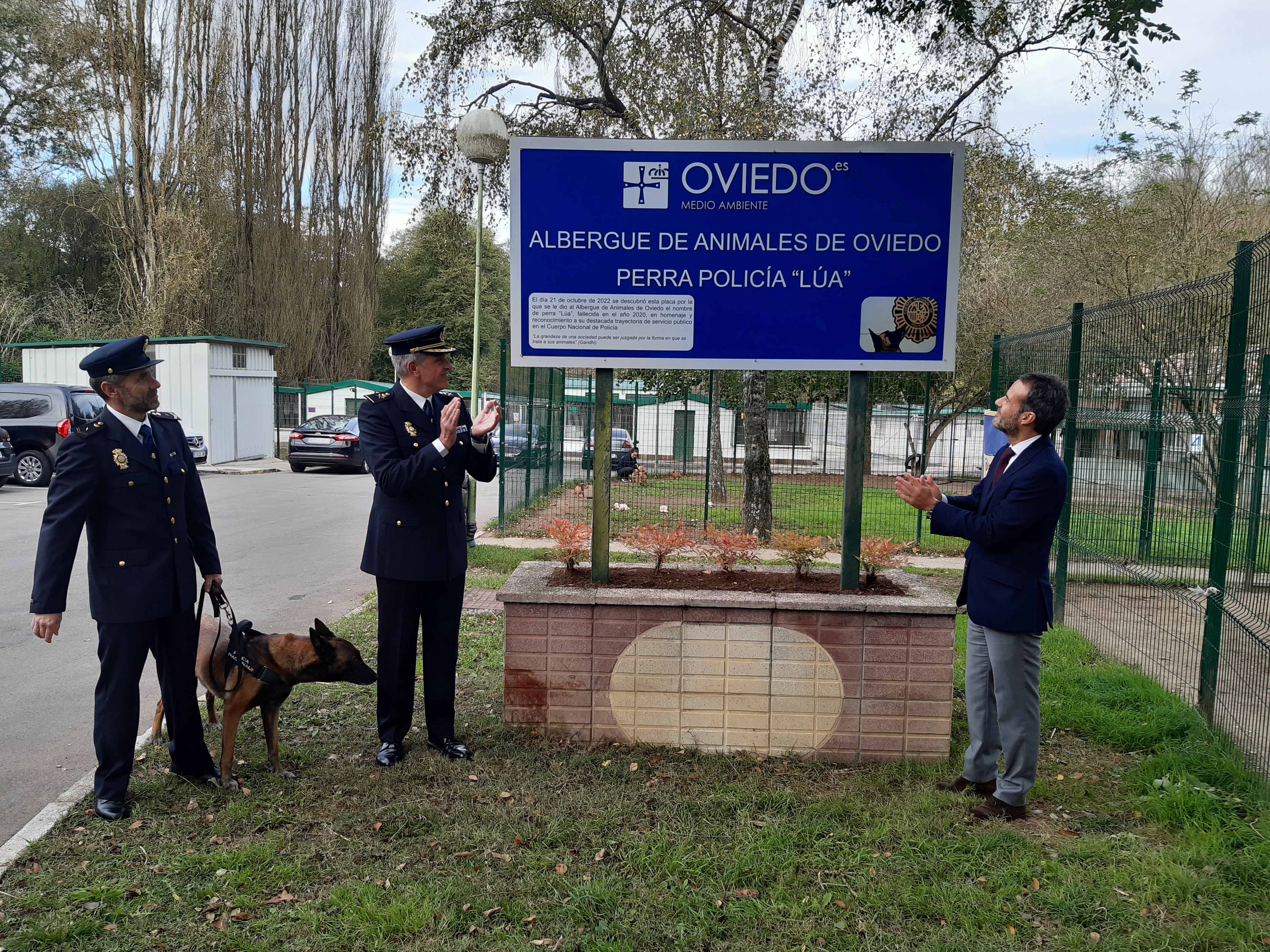 La mitad de los perros extraviados en Oviedo han sido devueltos a sus propietarios La mitad de los perros extraviados en Oviedo han sido devueltos a sus propietarios