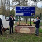 La mitad de los perros extraviados en Oviedo han sido devueltos a sus propietarios