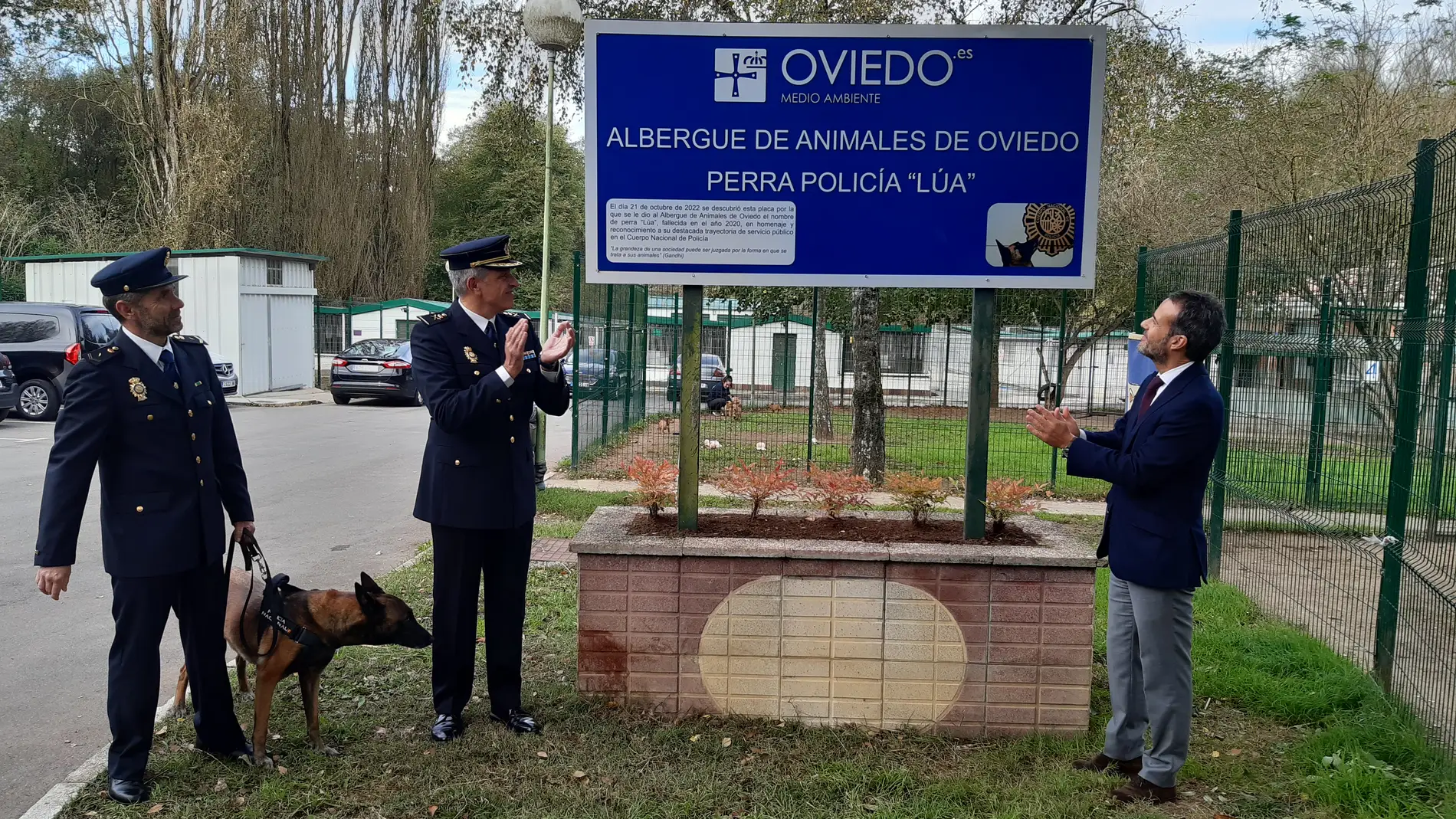 La mitad de los perros extraviados en Oviedo han sido devueltos a sus propietarios