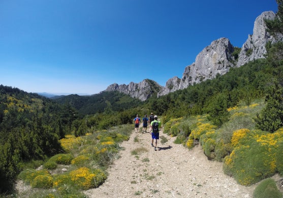 El ecoturismo y sus aplicaciones al Plan de Sostenibilidad Turística El ecoturismo y sus aplicaciones al Plan de Sostenibilidad Turística