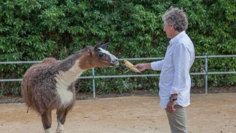 Ra&uacute;l M&eacute;rida
