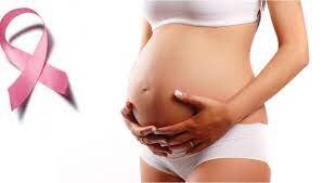1 de cada 8 mujeres sufrirá un cáncer de mama en su vida 1 de cada 8 mujeres sufrirá un cáncer de mama en su vida
