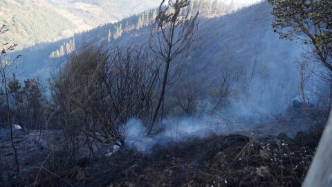 El incendio forestal que se origin&oacute; este domingo en Balmaseda (Vizcaya), que tambi&eacute;n afect&oacute; a las localidades vecinas de Zalla y Gordexola y se extendi&oacute; a zonas del Valle de Mena (Burgos), ha quemado m&aacute;s de 500 hect&aacute;reas y una vivienda y, aunque sus focos se dan por controlados, los bomberos trabajan a&uacute;n en su extinci&oacute;n y vigilan para que no se reavive. En la imagen, focos a&uacute;n activos en Balmaseda/ EFE/ Luis Tejido