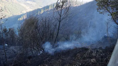 El incendio forestal que se originó este domingo en Balmaseda (Vizcaya), que también afectó a las localidades vecinas de Zalla y Gordexola y se extendió a zonas del Valle de Mena (Burgos), ha quemado más de 500 hectáreas y una vivienda y, aunque sus focos se dan por controlados, los bomberos trabajan aún en su extinción y vigilan para que no se reavive. En la imagen, focos aún activos en Balmaseda El incendio forestal que se originó este domingo en Balmaseda (Vizcaya), que también afectó a las localidades vecinas de Zalla y Gordexola y se extendió a zonas del Valle de Mena (Burgos), ha quemado más de 500 hectáreas y una vivienda y, aunque sus focos se dan por controlados, los bomberos trabajan aún en su extinción y vigilan para que no se reavive. En la imagen, focos aún activos en Balmaseda/ EFE/ Luis Tejido