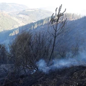 El incendio forestal que se originó este domingo en Balmaseda (Vizcaya), que también afectó a las localidades vecinas de Zalla y Gordexola y se extendió a zonas del Valle de Mena (Burgos), ha quemado más de 500 hectáreas y una vivienda y, aunque sus focos se dan por controlados, los bomberos trabajan aún en su extinción y vigilan para que no se reavive. En la imagen, focos aún activos en Balmaseda/ EFE/ Luis Tejido El incendio forestal que se originó este domingo en Balmaseda (Vizcaya), que también afectó a las localidades vecinas de Zalla y Gordexola y se extendió a zonas del Valle de Mena (Burgos), ha quemado más de 500 hectáreas y una vivienda y, aunque sus focos se dan por controlados, los bomberos trabajan aún en su extinción y vigilan para que no se reavive. En la imagen, focos aún activos en Balmaseda/ EFE/ Luis Tejido