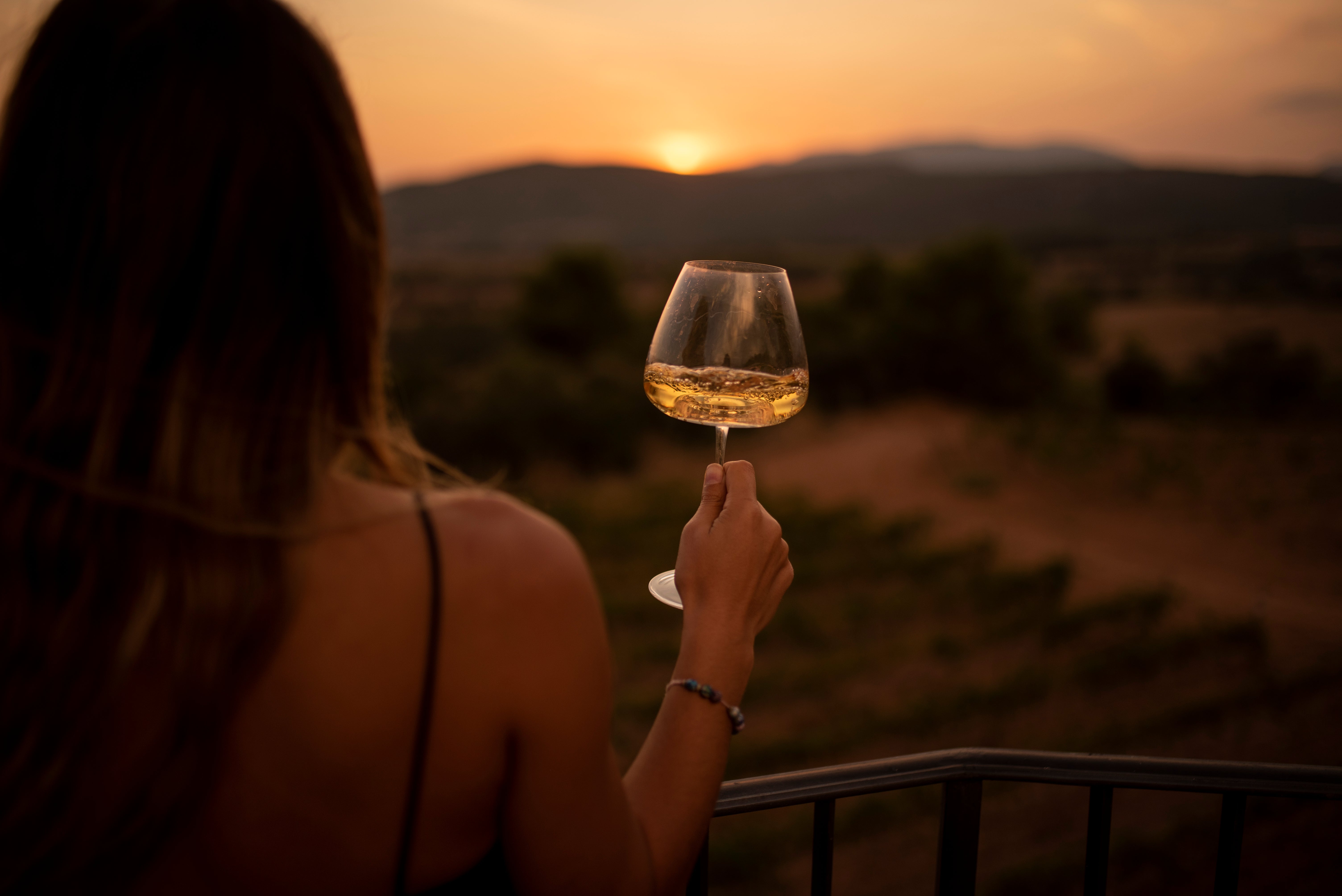 Els vins de Lleida, el punt de partida per conèixer el territori Els vins de Lleida, el punt de partida per conèixer el territori