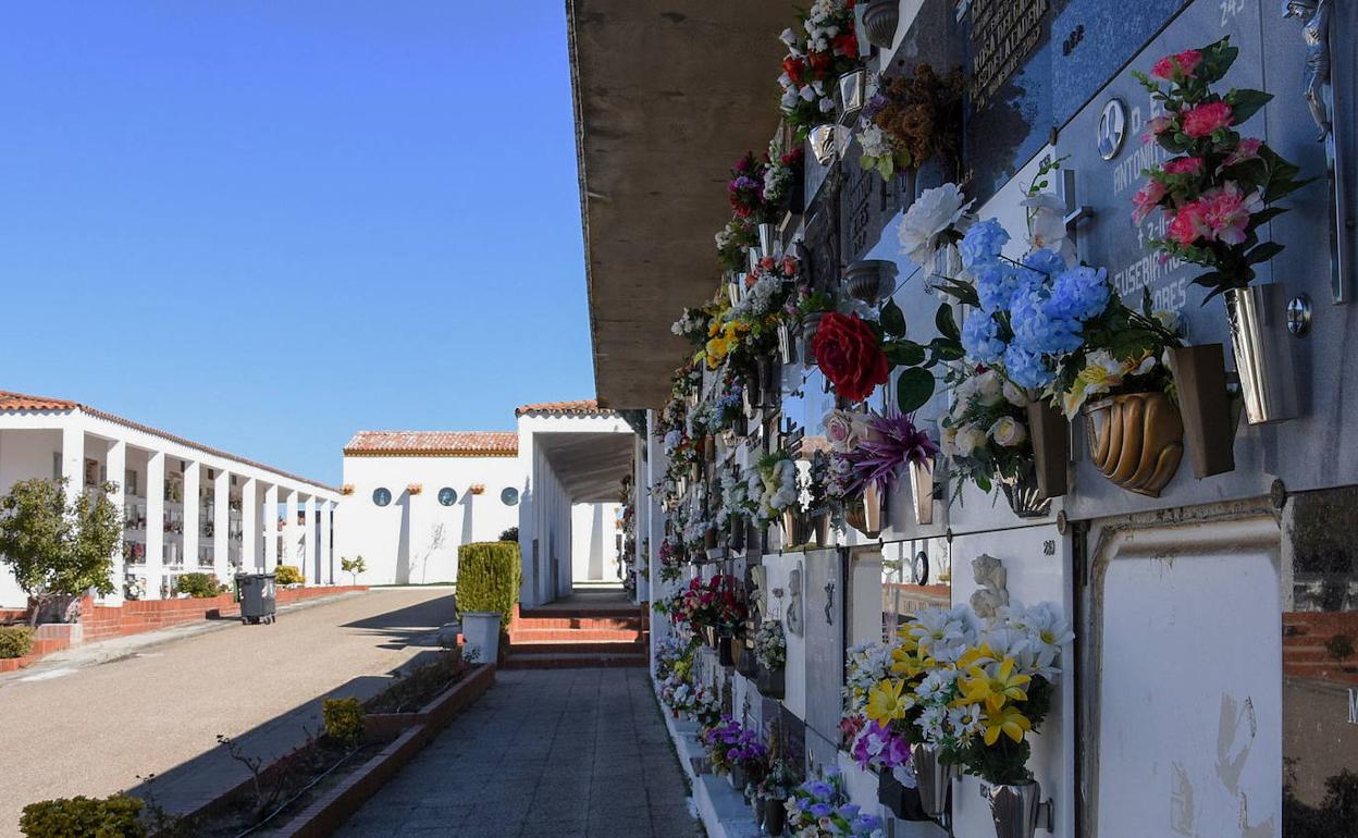 El Ayuntamiento de Badajoz invierte un millón 400.000 euros en los cementerios de la ciudad y las pedanías El Ayuntamiento de Badajoz invierte un millón 400.000 euros en los cementerios de la ciudad y las pedanías