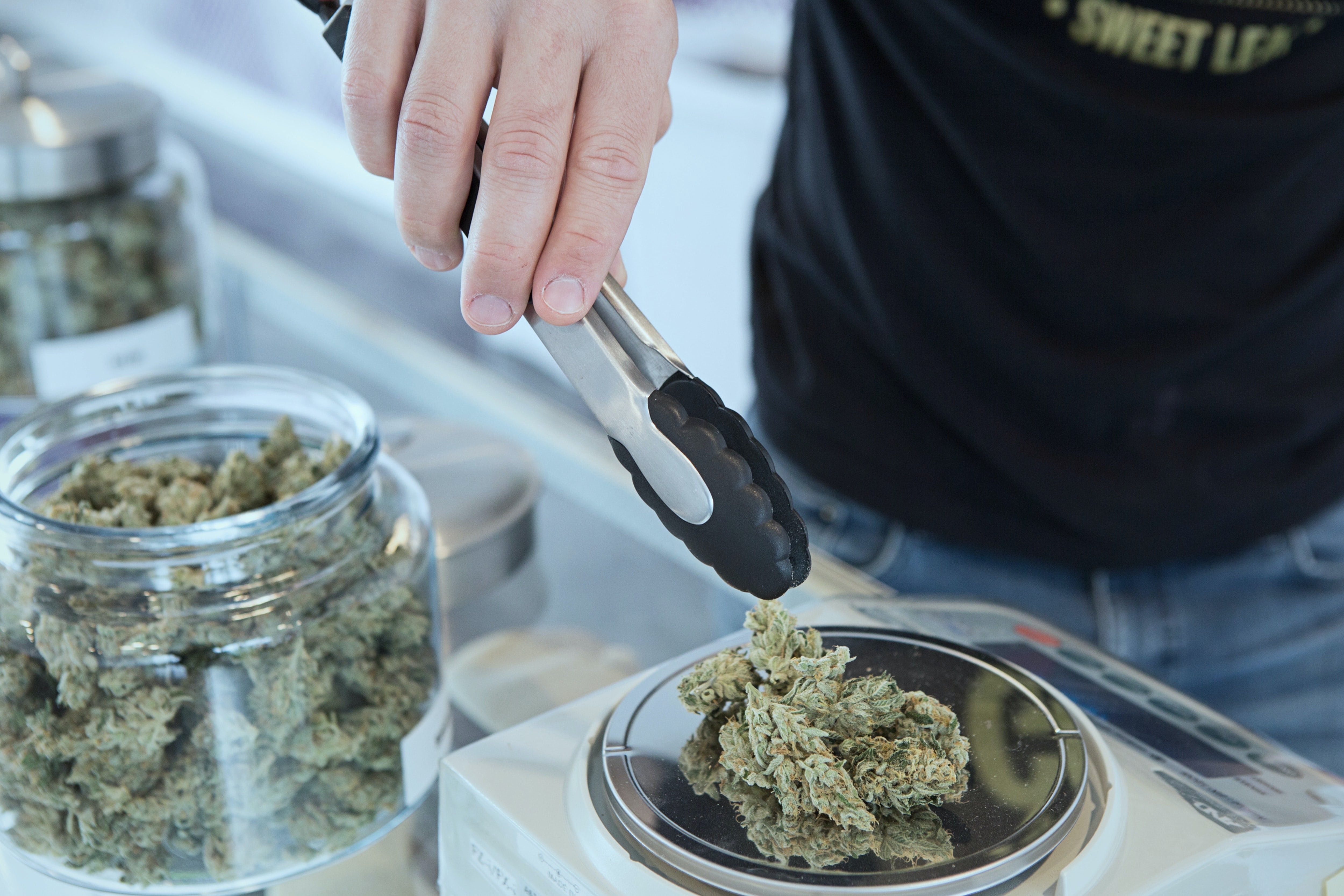 Alemania a un paso de legalizar el cannabis: cuál será el consumo permitido Alemania a un paso de legalizar el cannabis: cuál será el consumo permitido