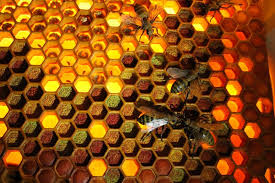 La Gastronomía en Onda Cero, con Sabor a Málaga, marca promocional de la Diputación Provincial 27 OCTUBRE 2022 La Gastronomía en Onda Cero, con Sabor a Málaga, marca promocional de la Diputación Provincial 27 OCTUBRE 2022