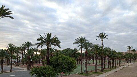 Patio en un colegio de Elche.