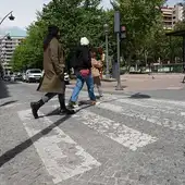 O Concello esmérase na protección das árbores afectadas polas obras O Concello esmérase na protección das árbores afectadas polas obras